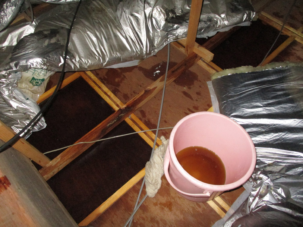 雨漏り修繕工事