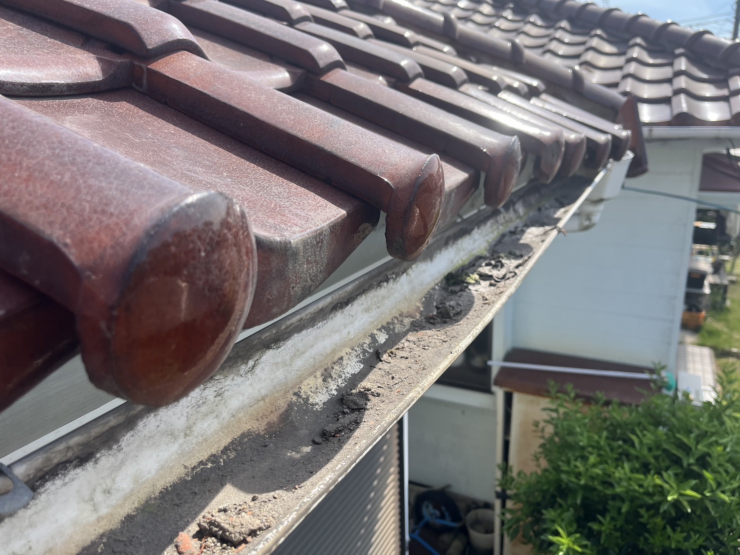 雨どいのメンテナンス時期