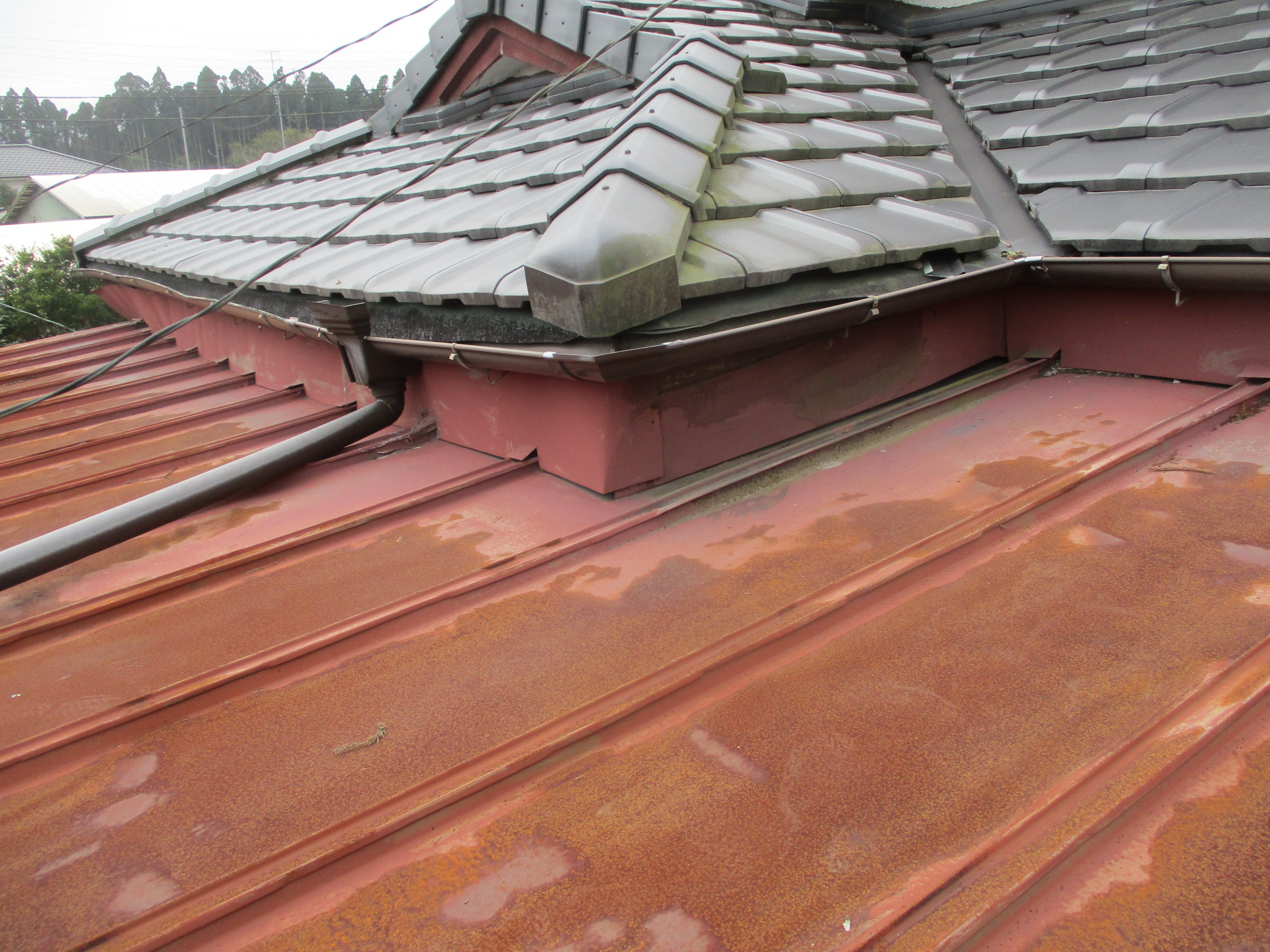 板金屋根　葺き替え工事